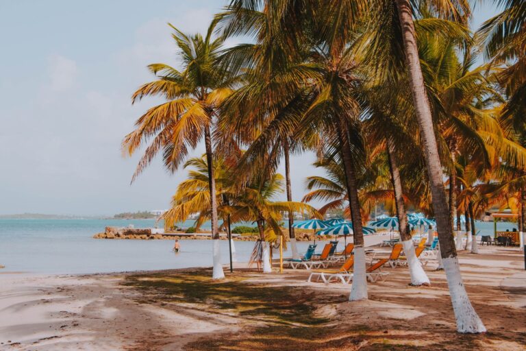 Barrages en Guadeloupe : partir ou annuler ses vacances de la Toussaint, ce qu’il faut savoir